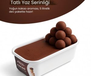 Turgutlu Toptan Dondurma Hizmeti